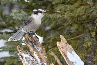 _DSC1173.jpg