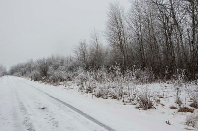 _DC79878.jpg