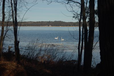 DSC_4879.JPG