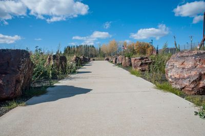 DSC_2382.jpg