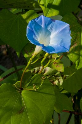 DSC_2564.jpg