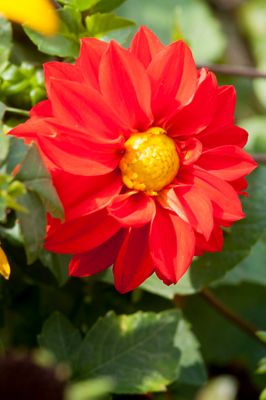 DSC_2580.jpg