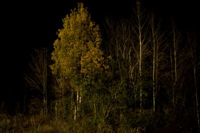 DSC_2592.jpg