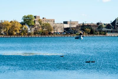 DSC_2597.jpg