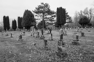 DSC_2736.jpg