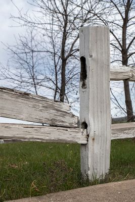 _d857692 - Copy.jpg