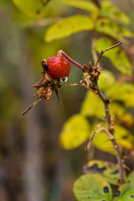 _D857710 - Copy.jpg