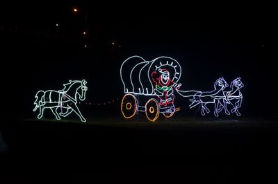 _D703744.jpg