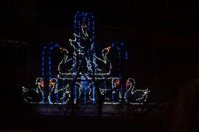 _D703783.jpg