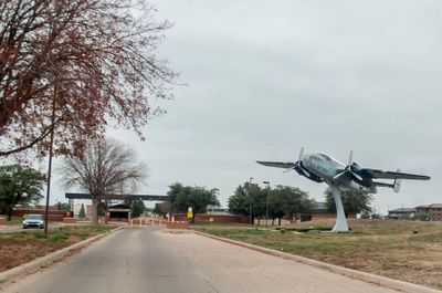 _D703493.jpg