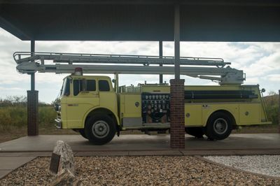 _D703528.jpg