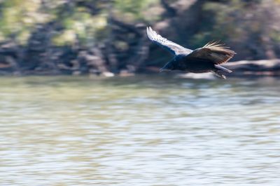 _D703571.jpg