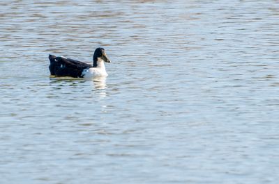 _D703598.jpg