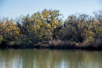 _D703619.jpg