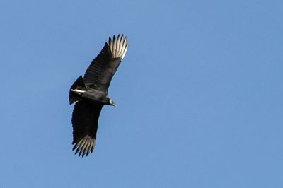_D703940.jpg