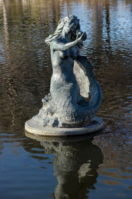 _D704130.jpg