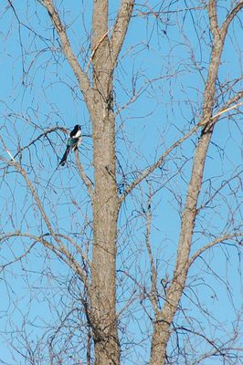 DSC_5077.jpg
