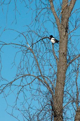 DSC_5079.jpg