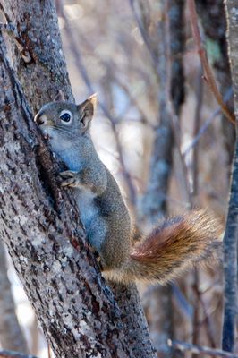 DSC_5085.jpg