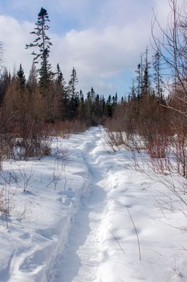 DSC_5170.jpg