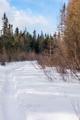 DSC_5175.jpg