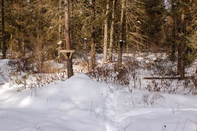 DSC_5181.jpg