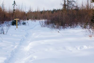 DSC_5183.jpg