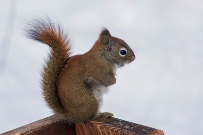 DSC_5212.jpg