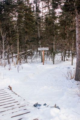 DSC_5214.jpg
