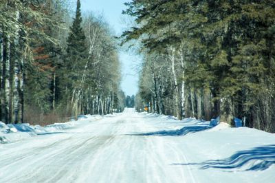 DSC_5255.jpg
