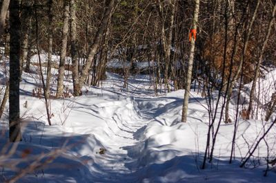 DSC_5269.jpg