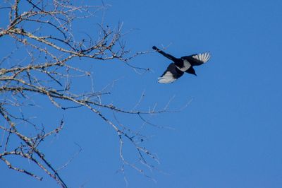 DSC_5308.jpg