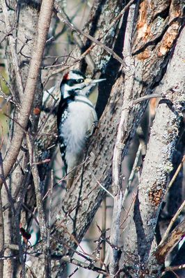 DSC_5312.jpg