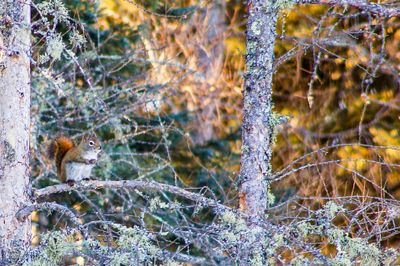 DSC_5352.jpg