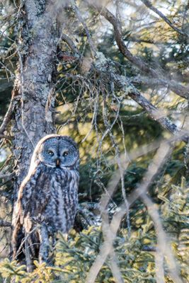 _DSC4106.jpg