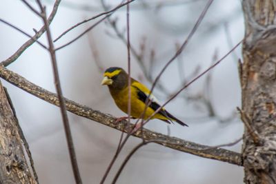 _DSC4872.jpg