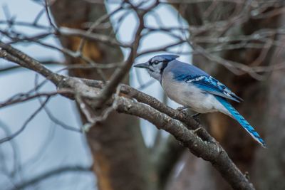 _DSC4898.jpg