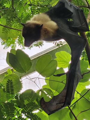 20230610_111317.jpg