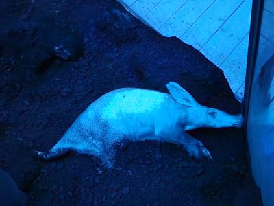 20230610_120653.jpg