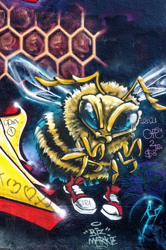 2023_07 L'abeille (Montreal-Murales) 10x15.jpg