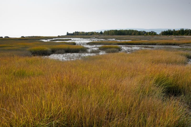 RM_230927-44-Isle aux Coudres - Parc Roche a Caya.jpg