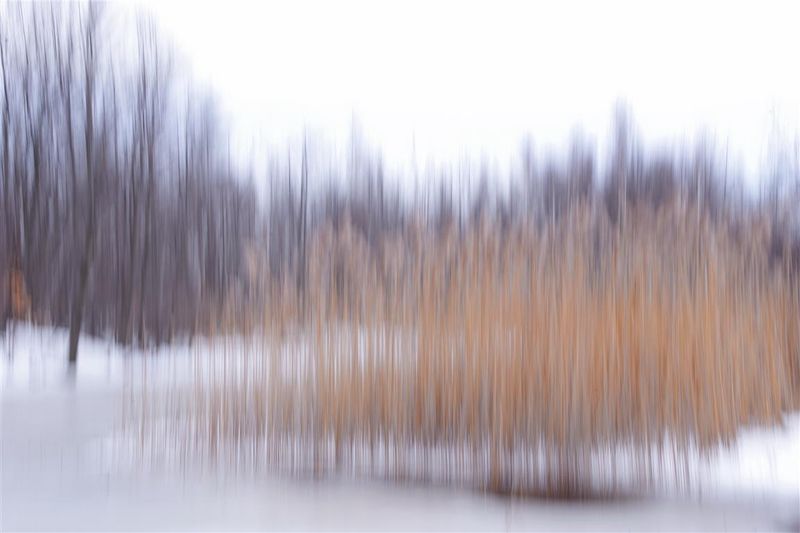 MO-Posie d'hiver.JPG 20 X 16 PF