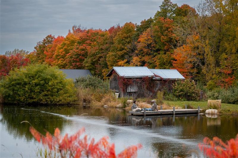 Magnificence d'automne (PF).jpg
