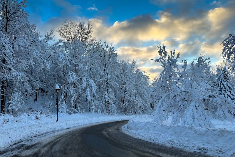 2024-02 Il a neige (Mont St-Hilaire) 18 x 12.JPG