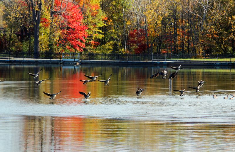 DL_Amerrissage 20 x 24  IMG_6807  PB.jpg