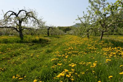 MA_DSC_5275.jpg