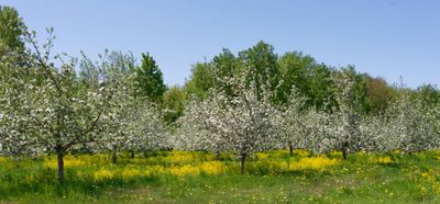MA_DSC_5420.jpg