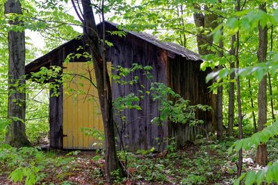 RA_DSC_9862.jpg