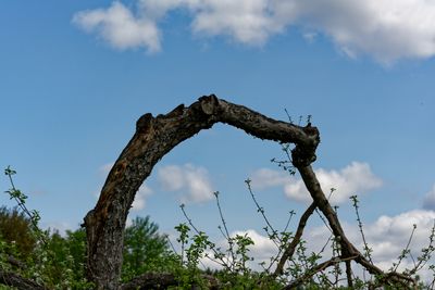 RA_DSC_9869.jpg
