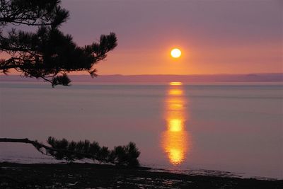 MO-IMGP4247.Lever de soleil (Isle aux coudres).JPG